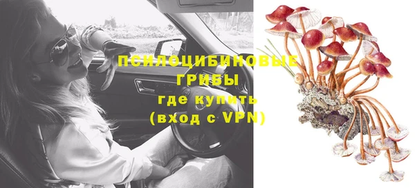 гидра Бутурлиновка