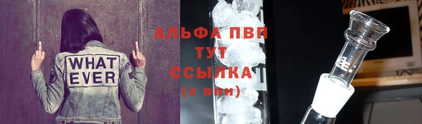 молекула духа Новодвинск