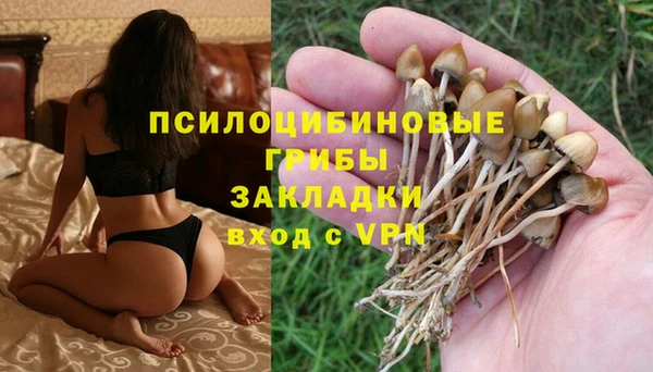 ALPHA PVP Валдай
