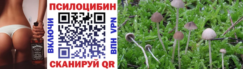 Псилоцибиновые грибы Psilocybine cubensis  Хилок 